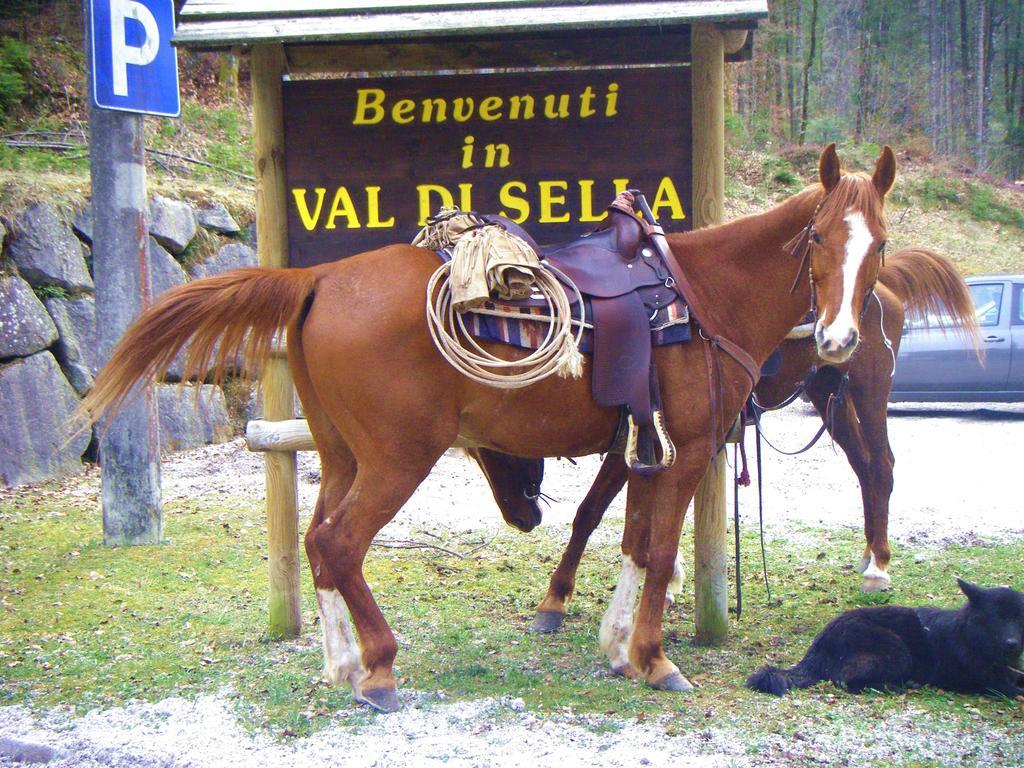 Отель Garni Sella Cipriani Borgo Valsugana Экстерьер фото